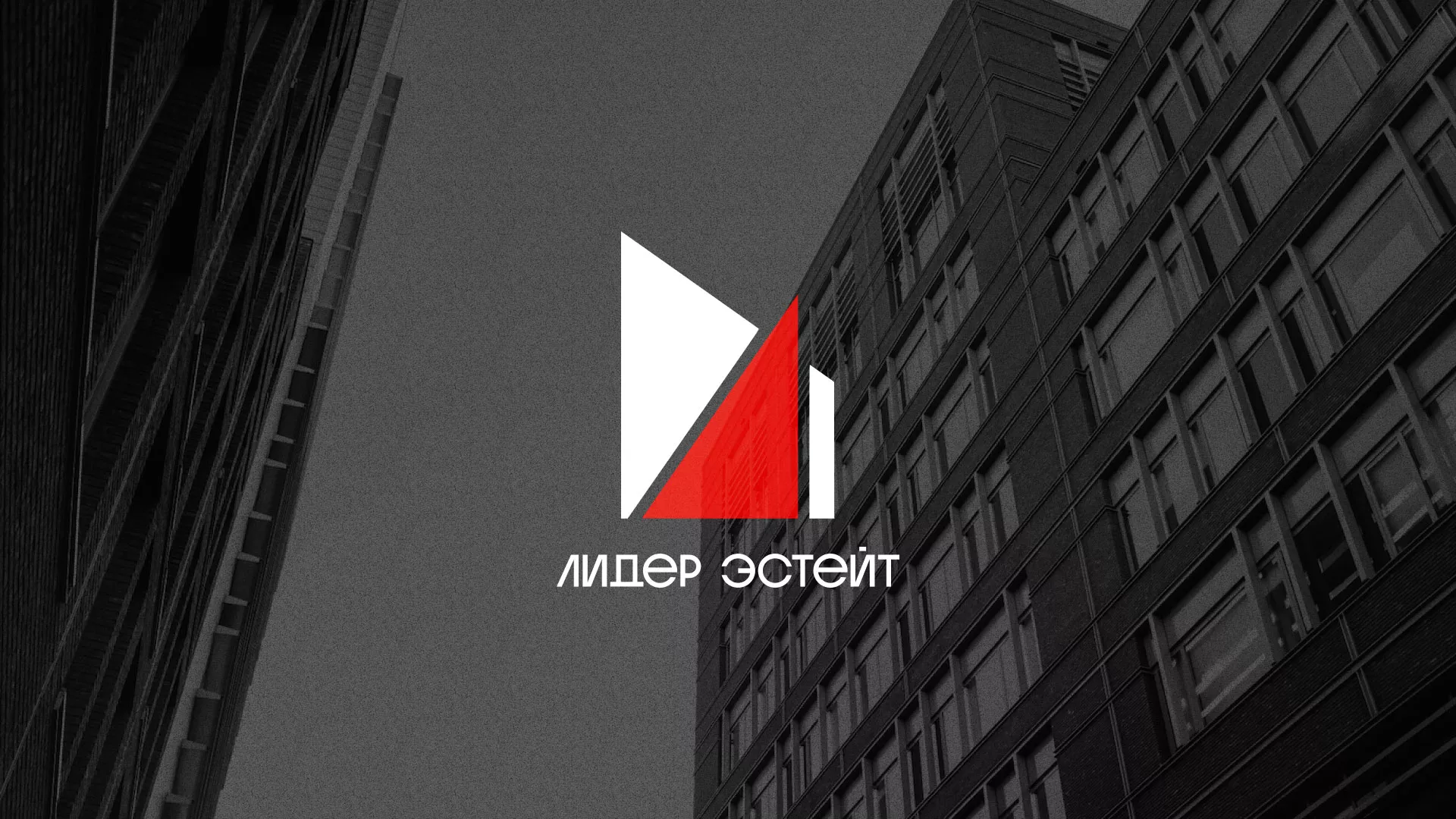 Сделали логотип для агентства недвижимости «Лидер Эстейт» в Ишимбае